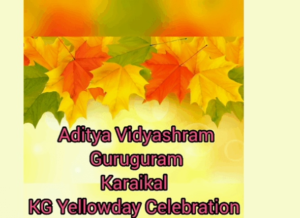 KG-Yellow-Day-Celebration